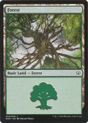 Forest (34)